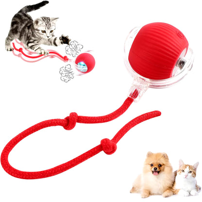 Interactive Rolling Cat Ball, Dog Toys Rolling Ball for Indoor, 360° Smart Automatic Rolling Pet Ball, Self Rolling Ball