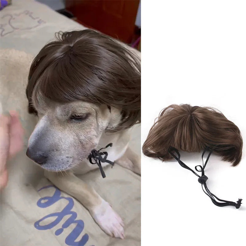 Pet Wigs Cosplay Props Dog Cat Cross-Dressing Hair Set Photography Funny Props Head Accessories Prank Pet Supplies Costumes DIY