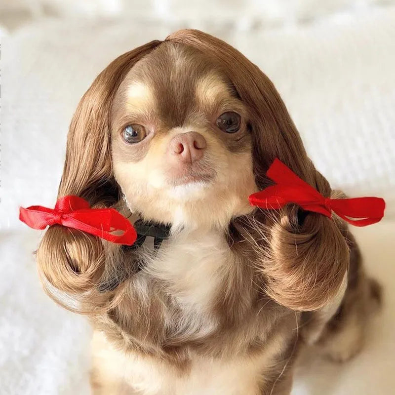 Pet Wigs Cosplay Props Dog Cat Cross-Dressing Hair Set Photography Funny Props Head Accessories Prank Pet Supplies Costumes DIY